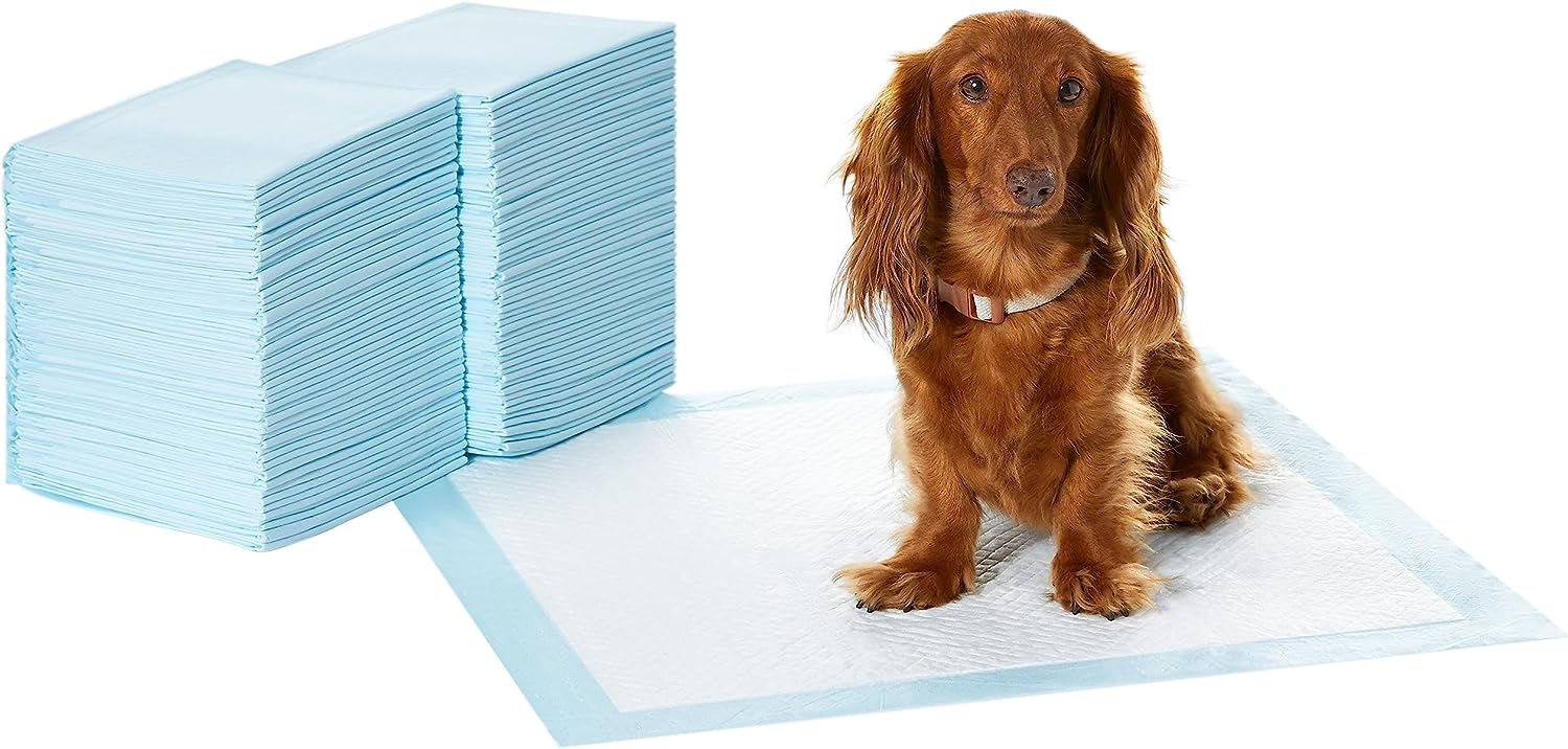 Amazon Basics Almohadillas de adiestramiento de perros y cachorros, diseño de 5 capas a prueba de fugas con superficie de secado rápido, regular, 100...