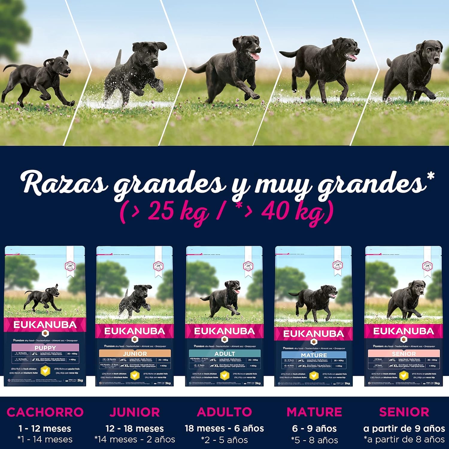Eukanuba Comida seca para perros viejos de razas grandes con pollo 15 kg