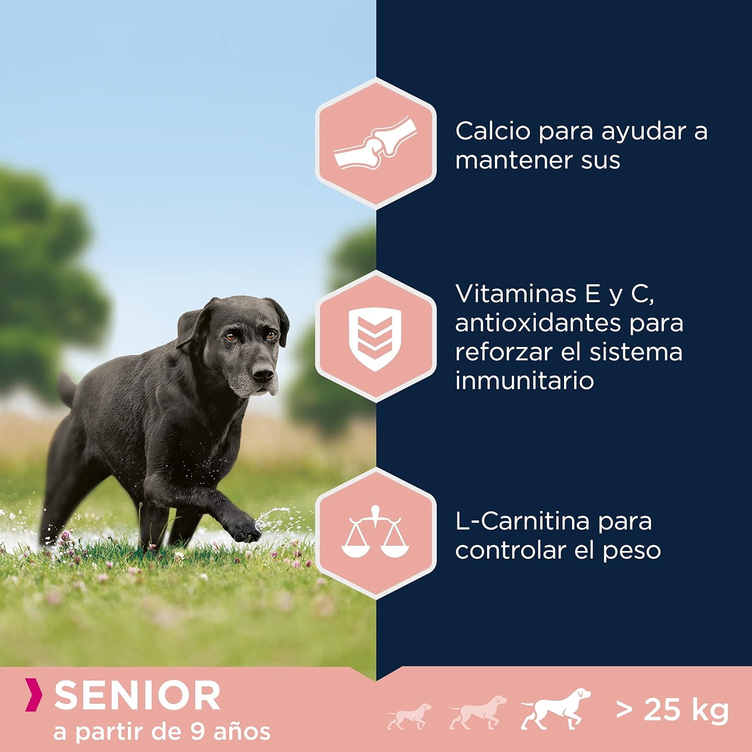 Eukanuba Comida seca para perros viejos de razas grandes con pollo 15 kg