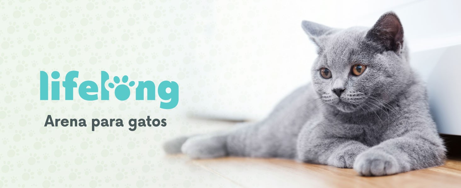 arena lifelong con gato