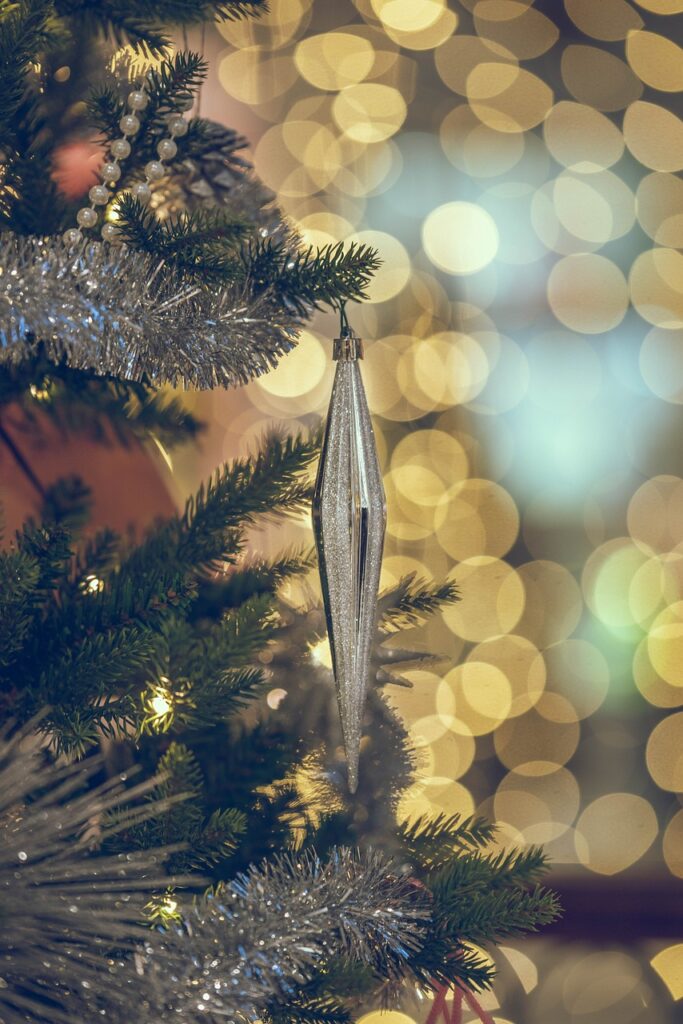 branch, ornaments, lights-6838719.jpg