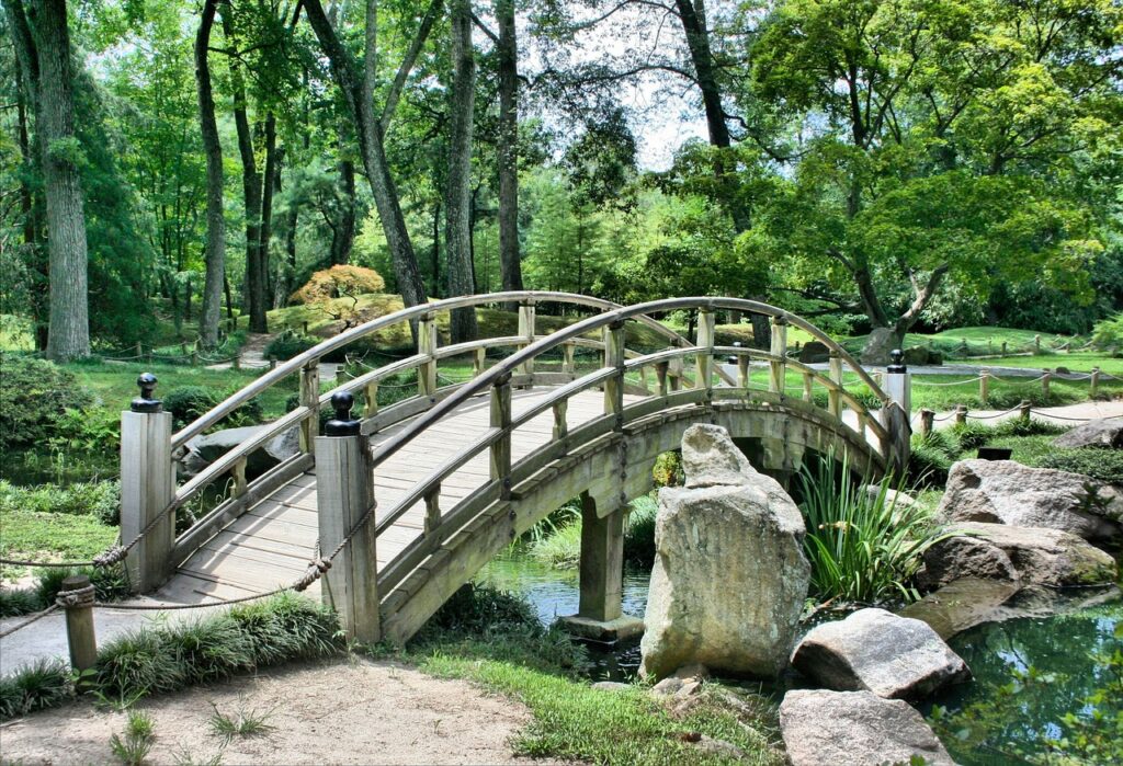 Guía Completa para Cuidar un Jardín