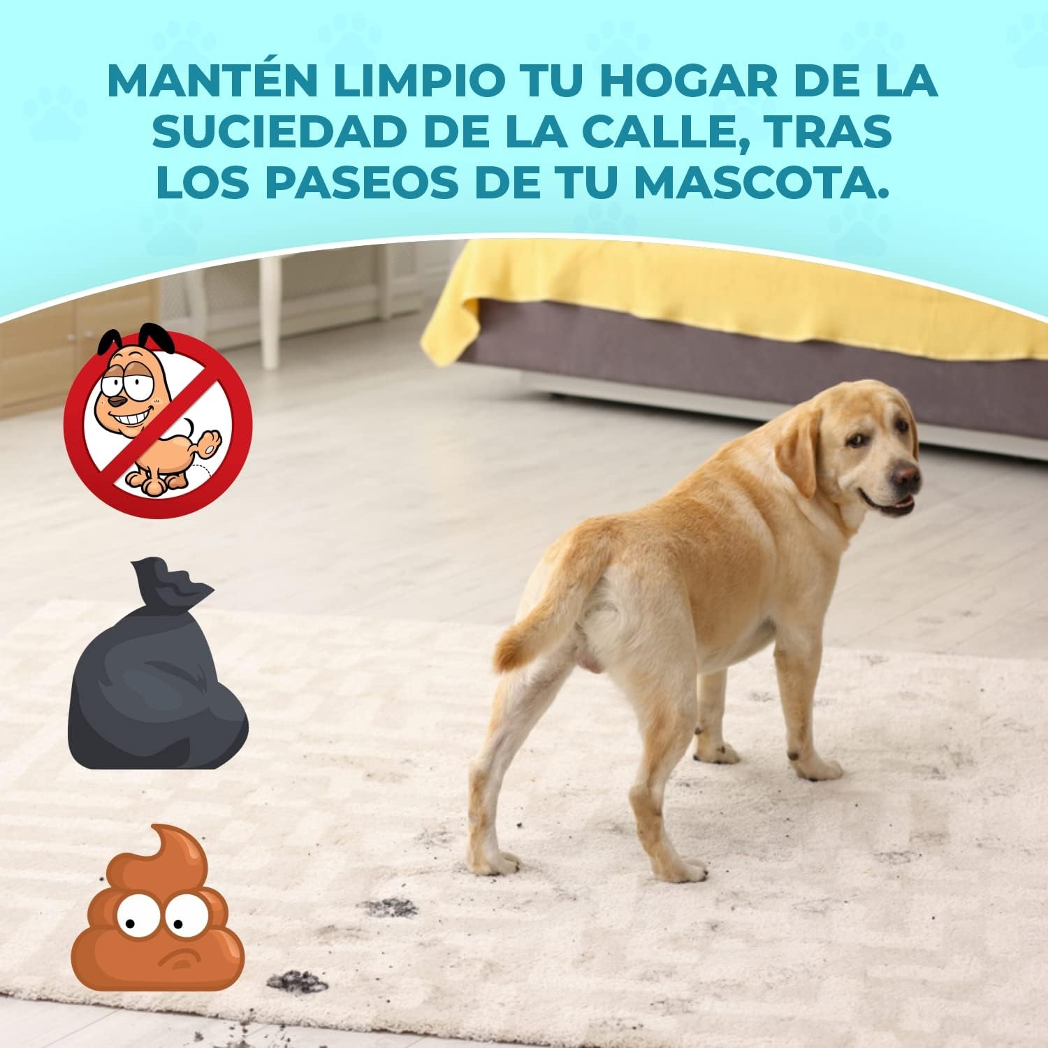 casa limpia tras paseo perro limpiador de patas
