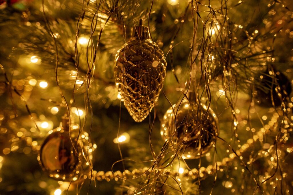 christmas tree, holiday, season-6924746.jpg