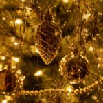 christmas tree, holiday, season-6924746.jpg