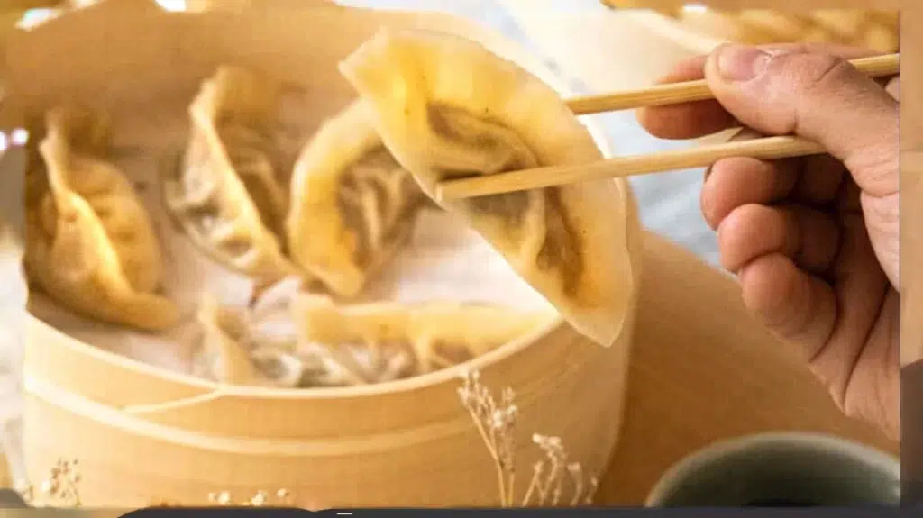 Dumplings de Pollo y Verduras