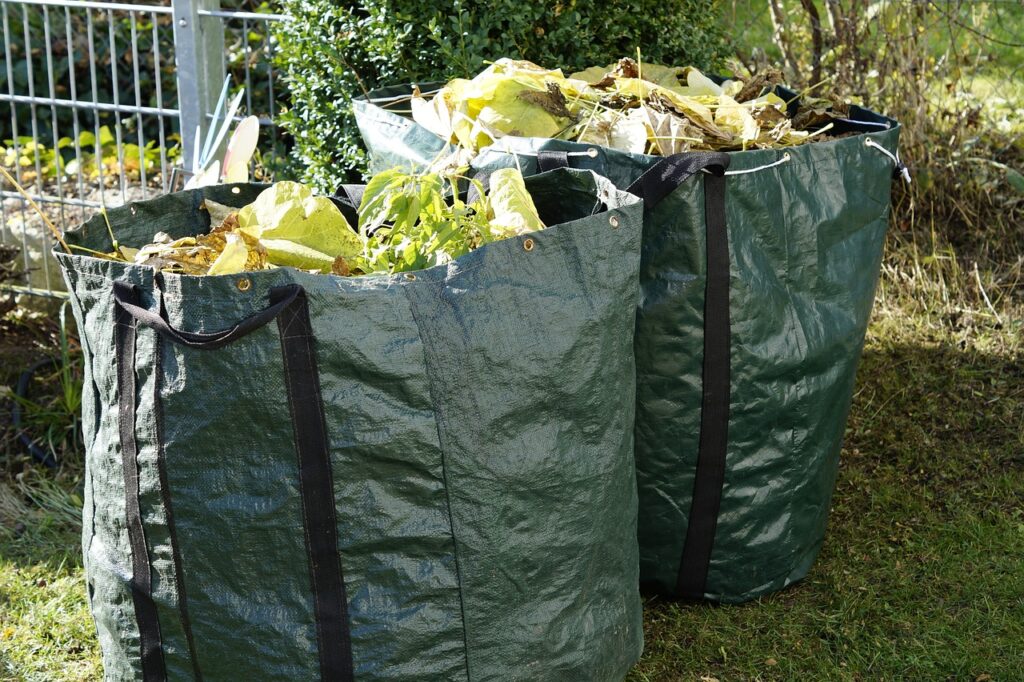 Guía Completa para Cuidar un Jardín