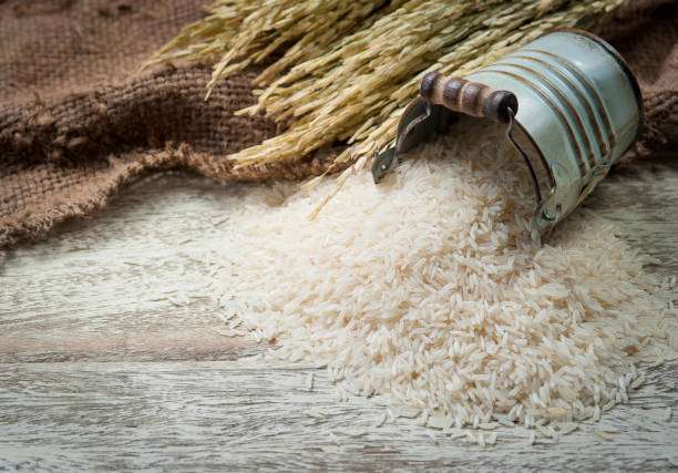 guia del arroz