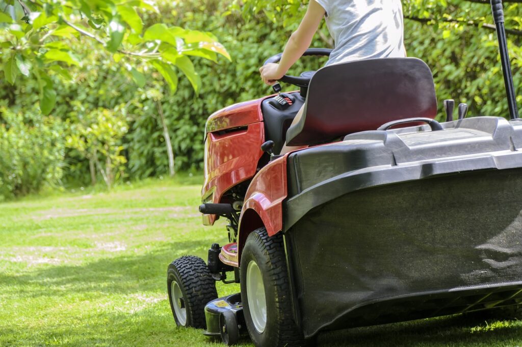 Guía Completa para Cuidar un Jardín