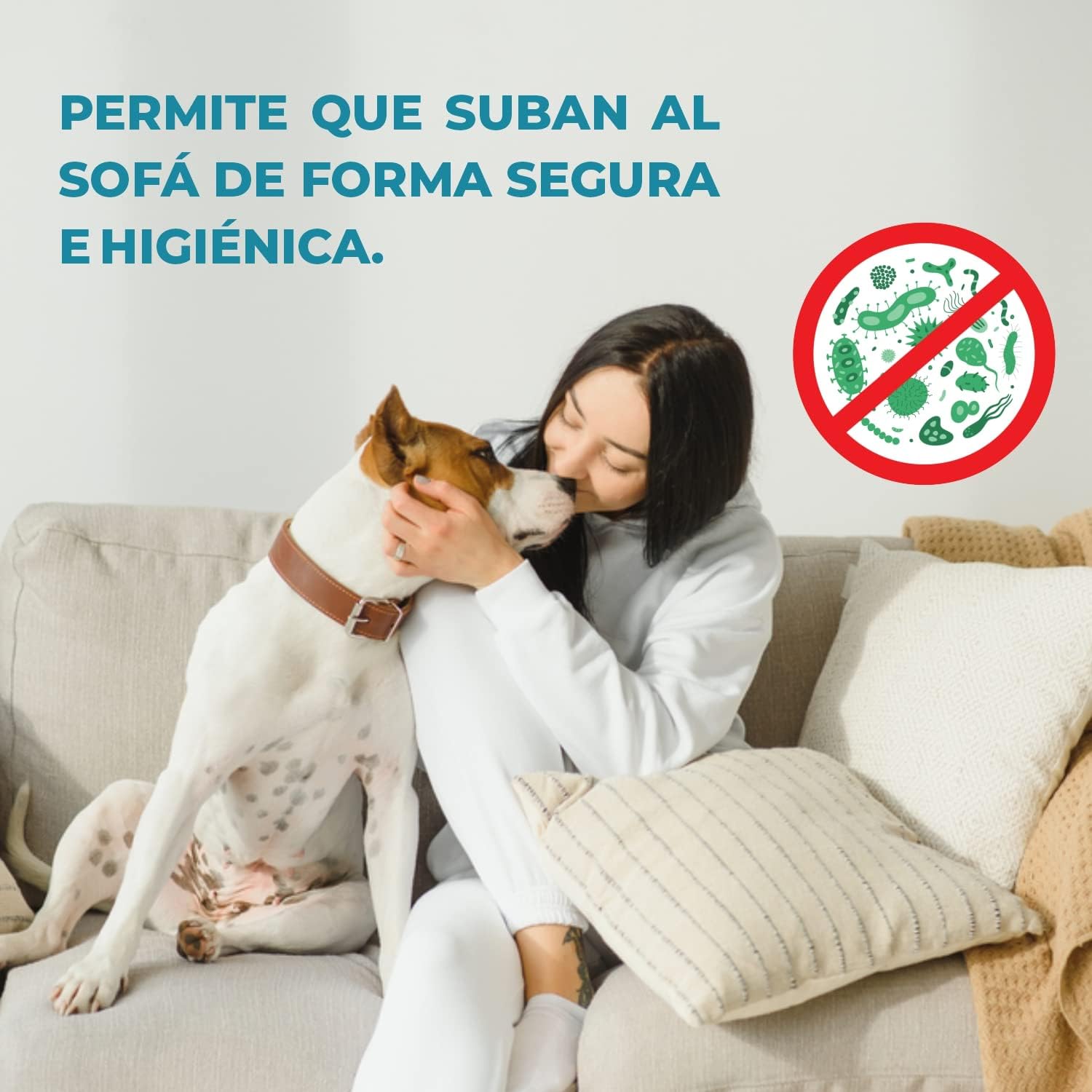 perro en sofa limpiador de patas