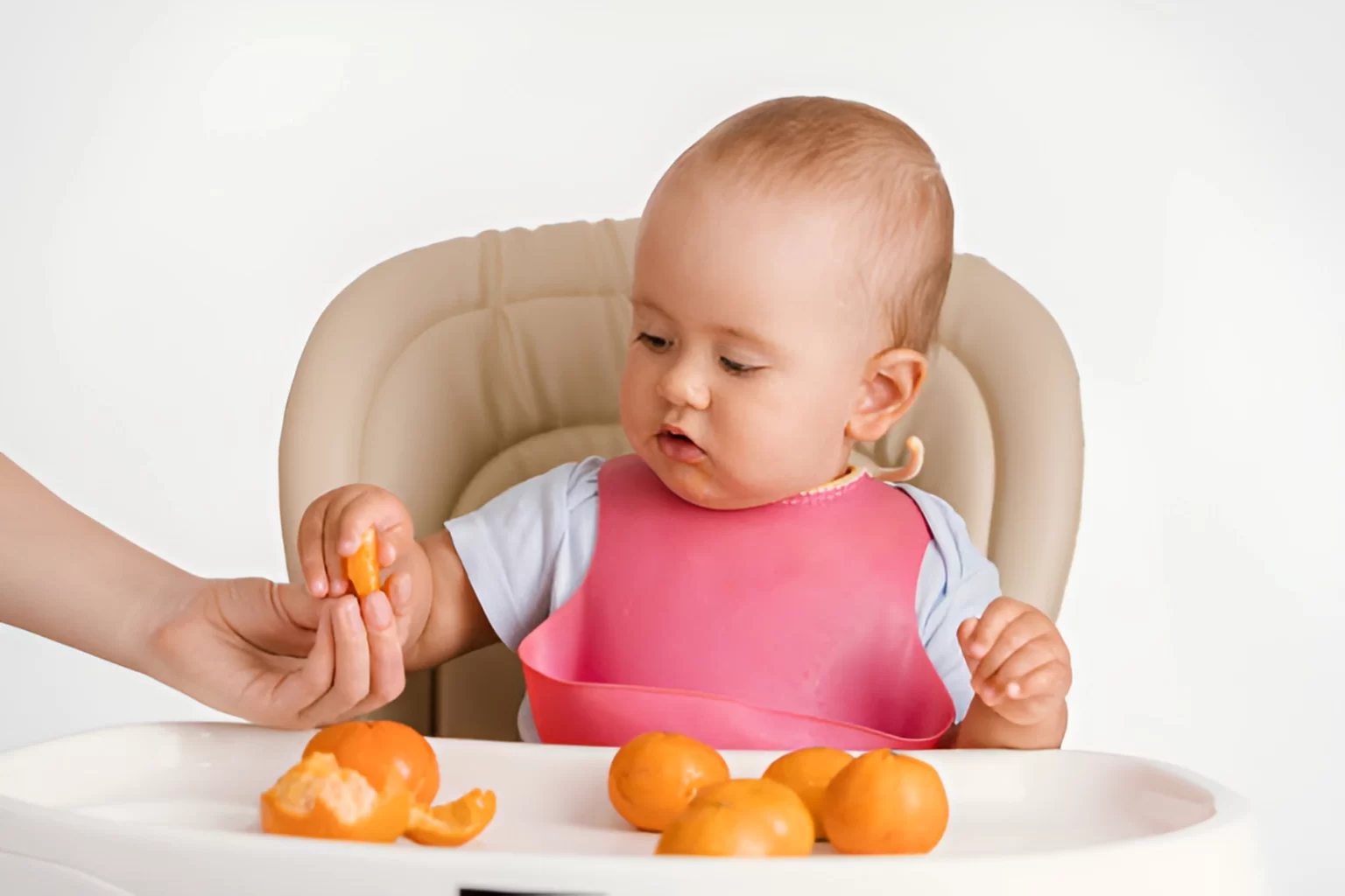 alimentación complementaria bebés de 6 meses