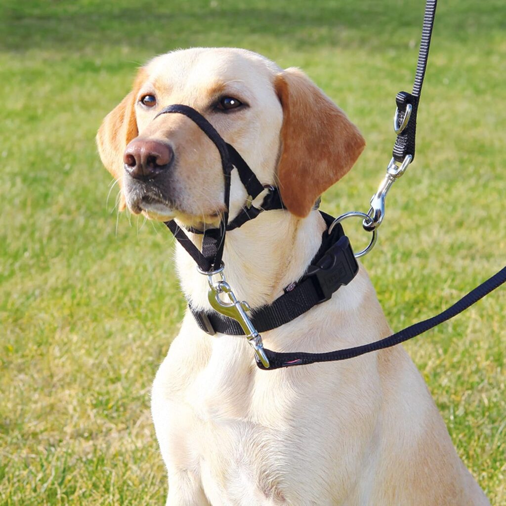 TRIXIE Arnés Guía Top Trainer para Perros