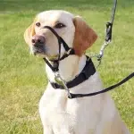 TRIXIE Arnés para perros