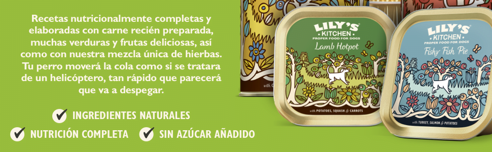 Lily's Kitchen Alimento húmedo natural para perros adultos: paquete de 12 latas variadas Cenas clásicas de 400 g
