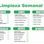 Guía completa para el hogar: Crea un espacio acogedor y funcional