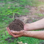 Sumérgete en el mundo de la jardinería con esta completa guía primaveral. Desde consejos para preparar el suelo hasta ideas creativas para el diseño de tu jardín, descubre todo lo que necesitas saber para cultivar un oasis verde en tu propio hogar durante esta vibrante temporada.